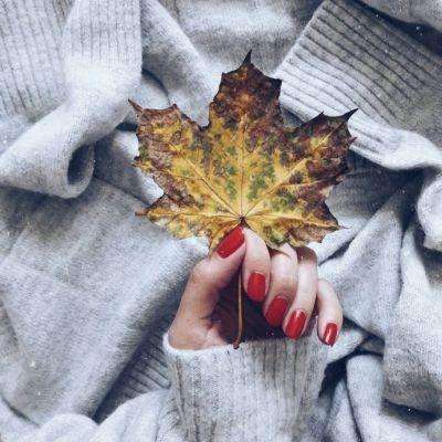 华体会登录下载手机版