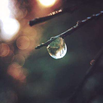 华体会登录下载手机版