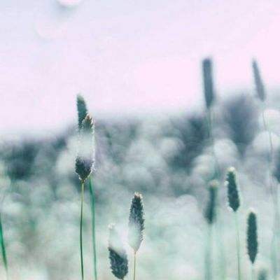 华体会登录下载手机版